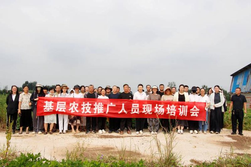湖北粮视：助力粮食行业步入数字化时代